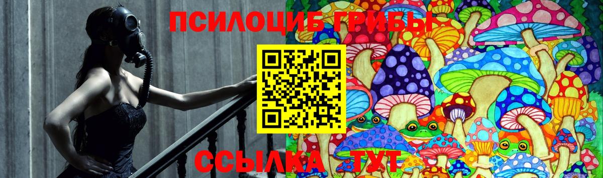Псилоцибиновые грибы GOLDEN TEACHER Шахты