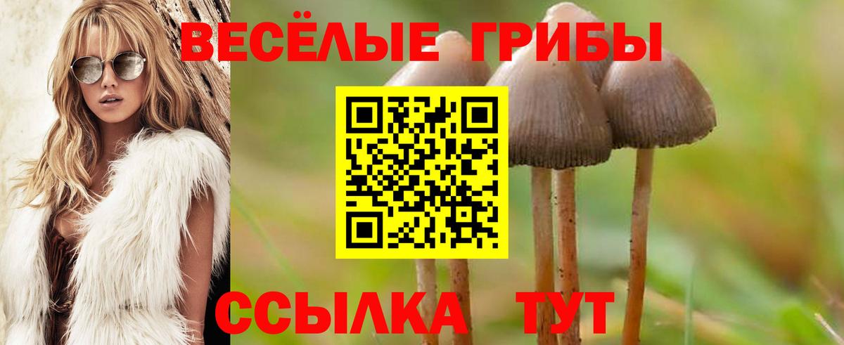 Шахты  Галлюциногенные грибы Cubensis  Псилоцибиновые грибы мицелий  Вход с VPN 